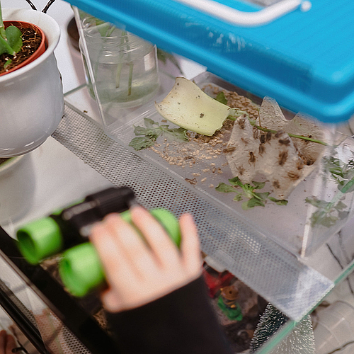 Ein Kind hält ein grünes Fernglas und betrachtet ein kleines Terrarium mit Pflanzen, Blättern und Futterresten im Naturforscherraum.